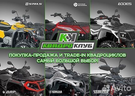 Квадроцикл wels thunder EVO sport