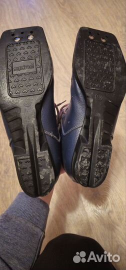 Лыжные ботинки spine