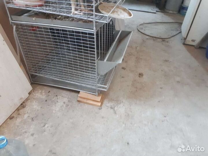 Клетка для кур-несушек