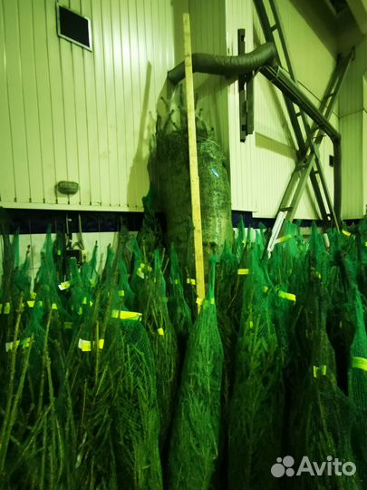 Дропшиппинг - Бизнес на новогодних деревьях