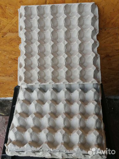 Ячейки для яиц