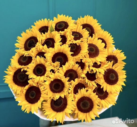 Семечки подсолнуха