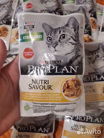 Корм влажный Pro plan с курицей