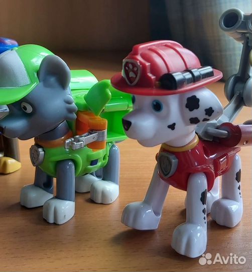 Набор щенков 