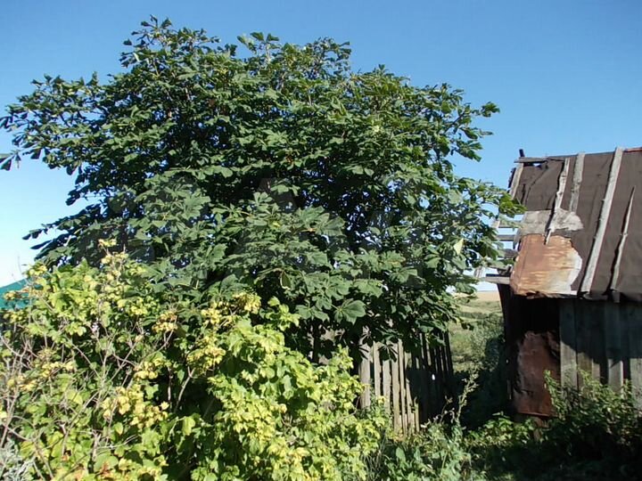 Дом 40 м² на участке 30 сот.