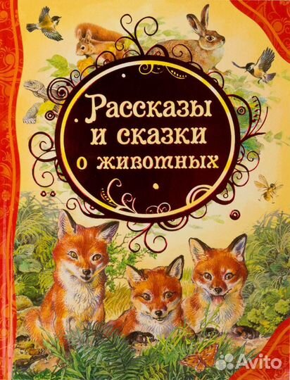 Новая книга 