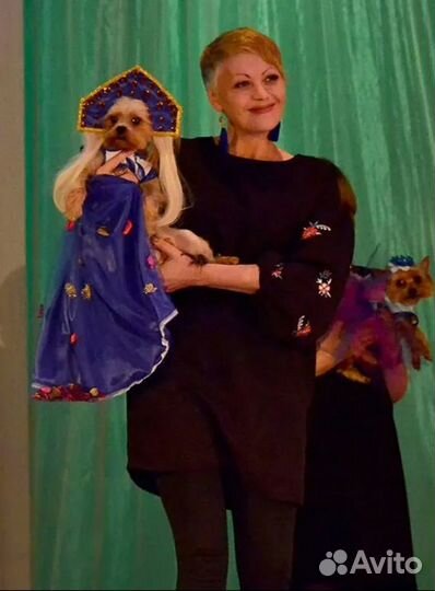 Стрижки собак