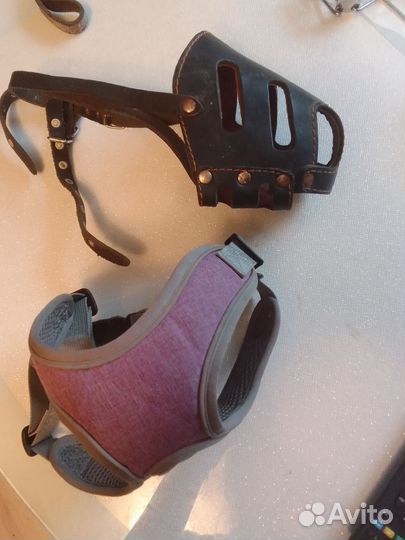 Ошейник для собак