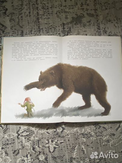 Братья гримм книга 