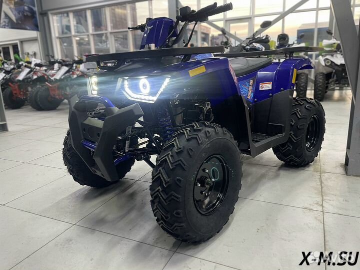 Квадроцикл promax wild 300