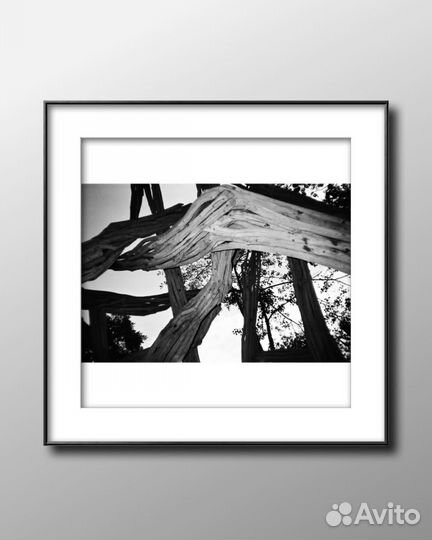 Интерьерная картина