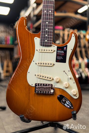 Fender American Performer Stratocaster RW HB