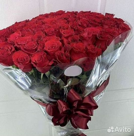 Высокие розы Гигантские розы 110