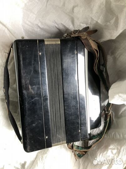 Баян тульский