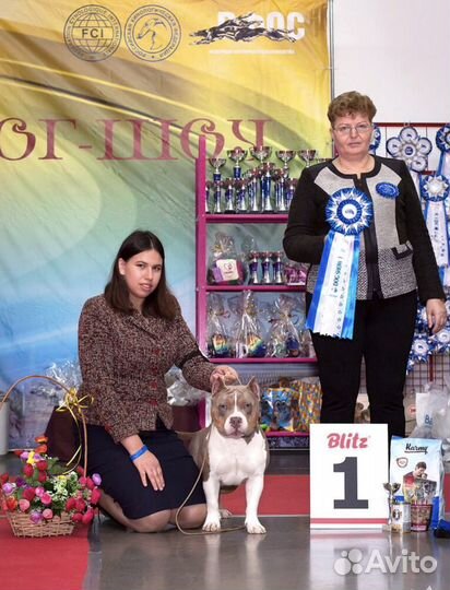 Хендлер, передержка