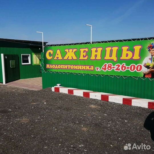 Садовый центр 