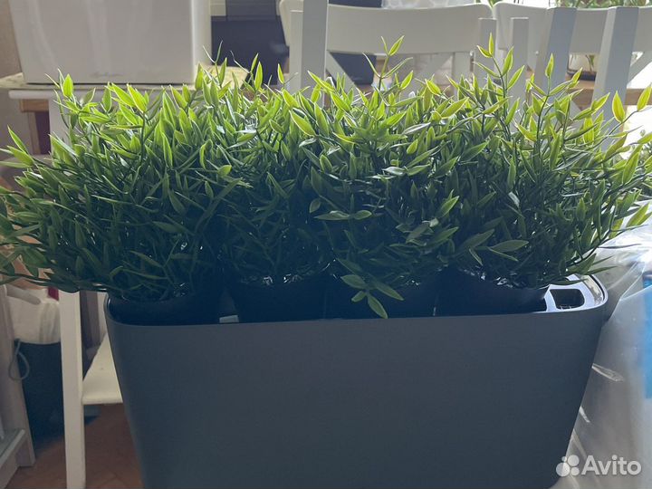 Фейка IKEA. Цветы искусственные