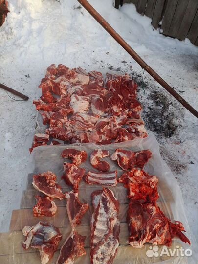 Забой скота