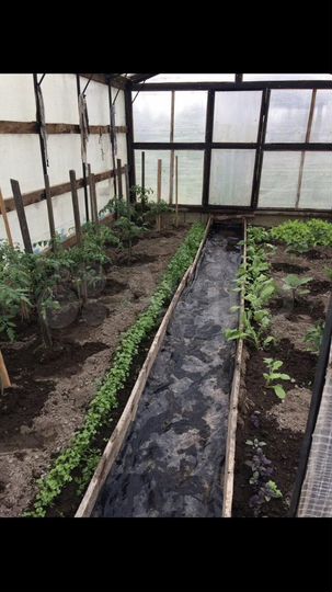 Участок 12 сот. (СНТ, ДНП)