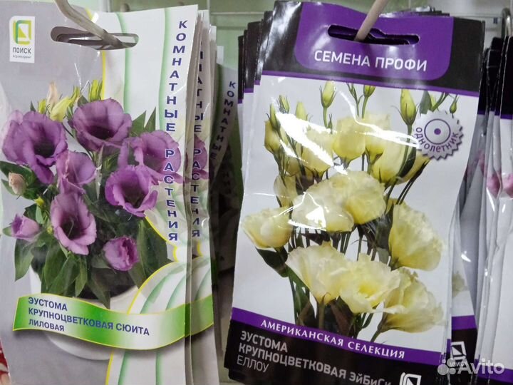 Эустома семена