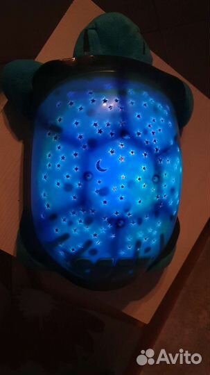 Ночник черепаха