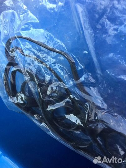 Прокладка клапанной крышки мазда 3 2005 г