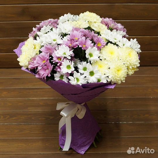 Сиреневые кустовые хризантемы