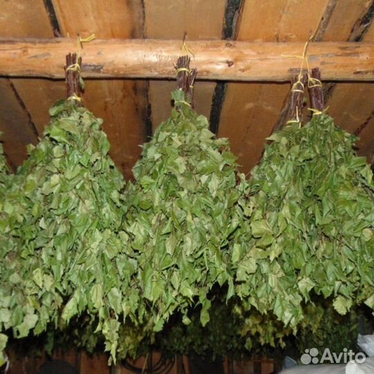 Березовые веники