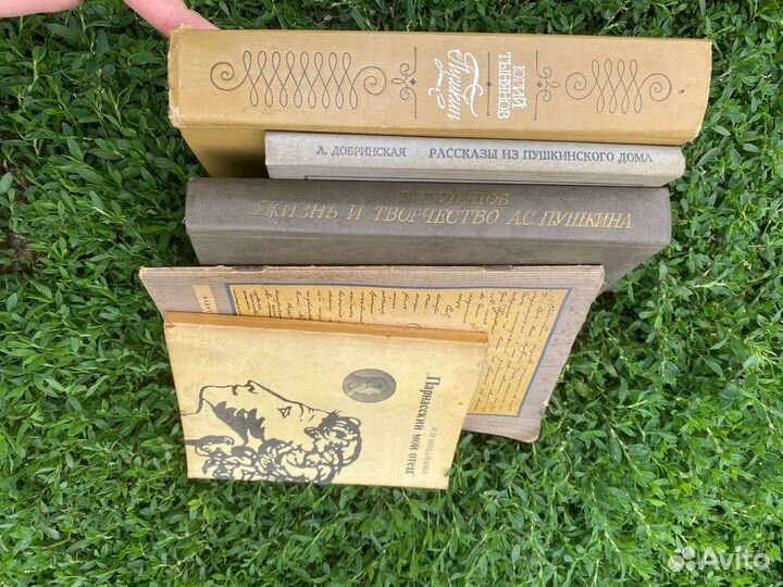 Книги Пушкин А. С