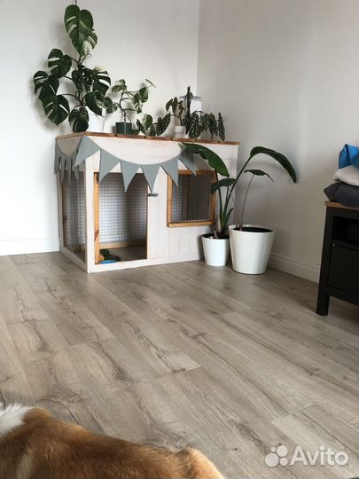 Дом для собак