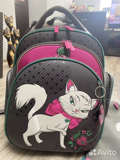 Рюкзак Hummingbird для девочки ортопедический