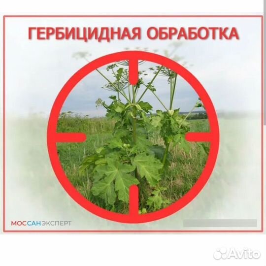 Гербицидная обработка, побелка, обработка складов