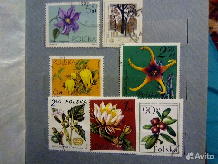 Марки polska цветы