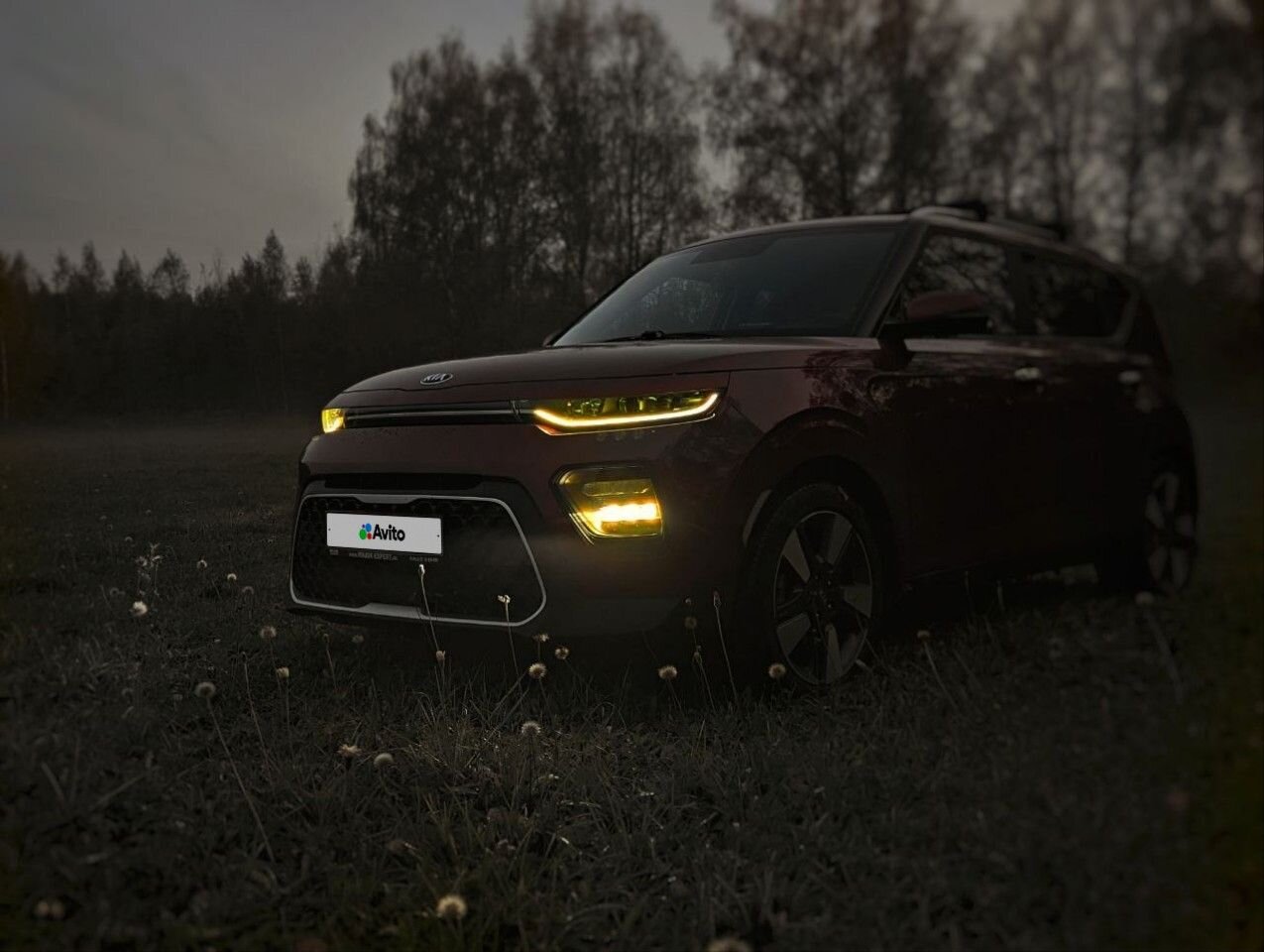 Kia Soul: фото владельца