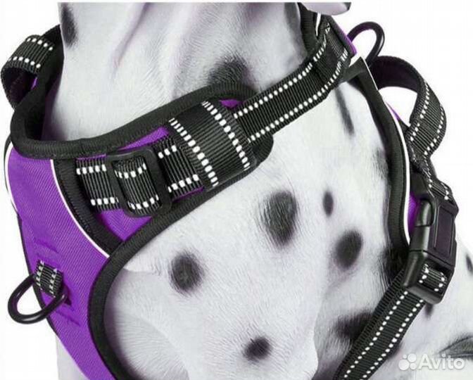 Шлейка для собаки размер М