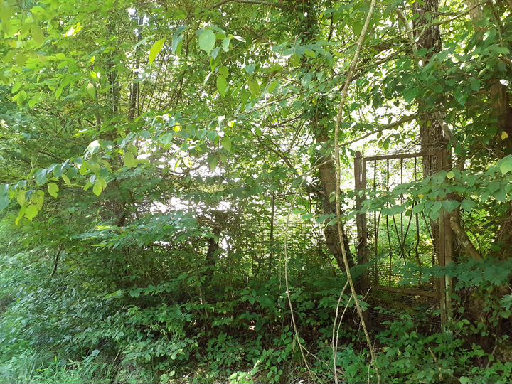 Участок 6,7 сот. (СНТ, ДНП)