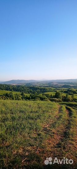 Продается пасека