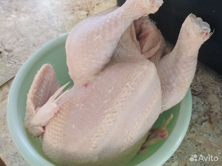Мясо домашнее бройлеров