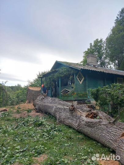 Спил деревьев частями