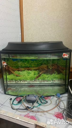 Аквариум