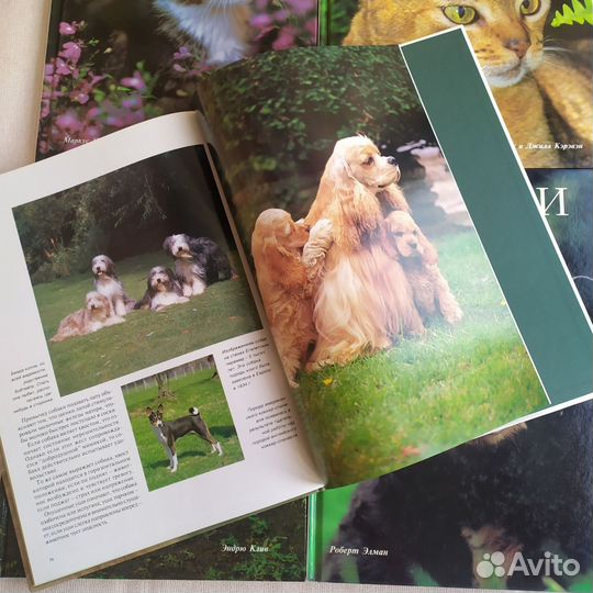 Книги- фотоальбомы 