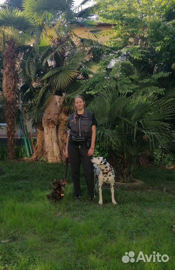 Передержка домашних животных