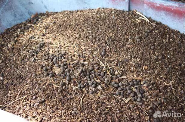 Конский навоз