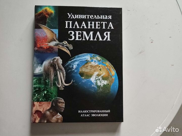 Иллюстрированный атлас эволюции