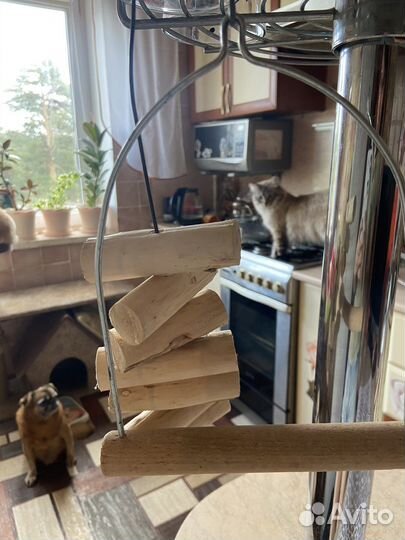 Качели для больших попугаев (корелла)