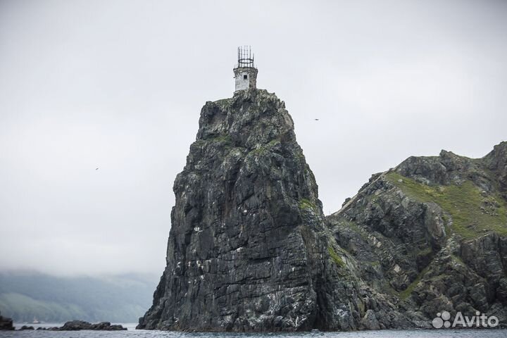 Тур на катере Остров Аскольд, тюлени и маяки