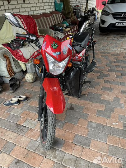 Alpha fx city 125