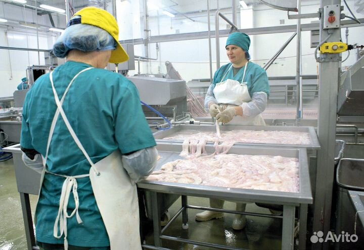 Упаковщицы на колбасный завод 5/2