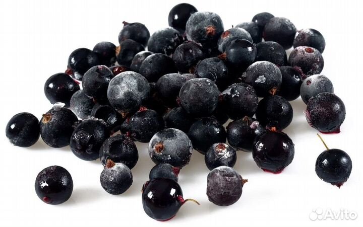 Черная смородина ягоды