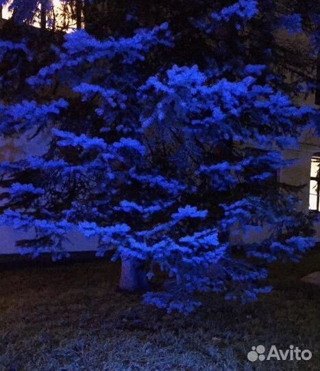 Прожектор синий 10Вт для подсветки кустов фасадов